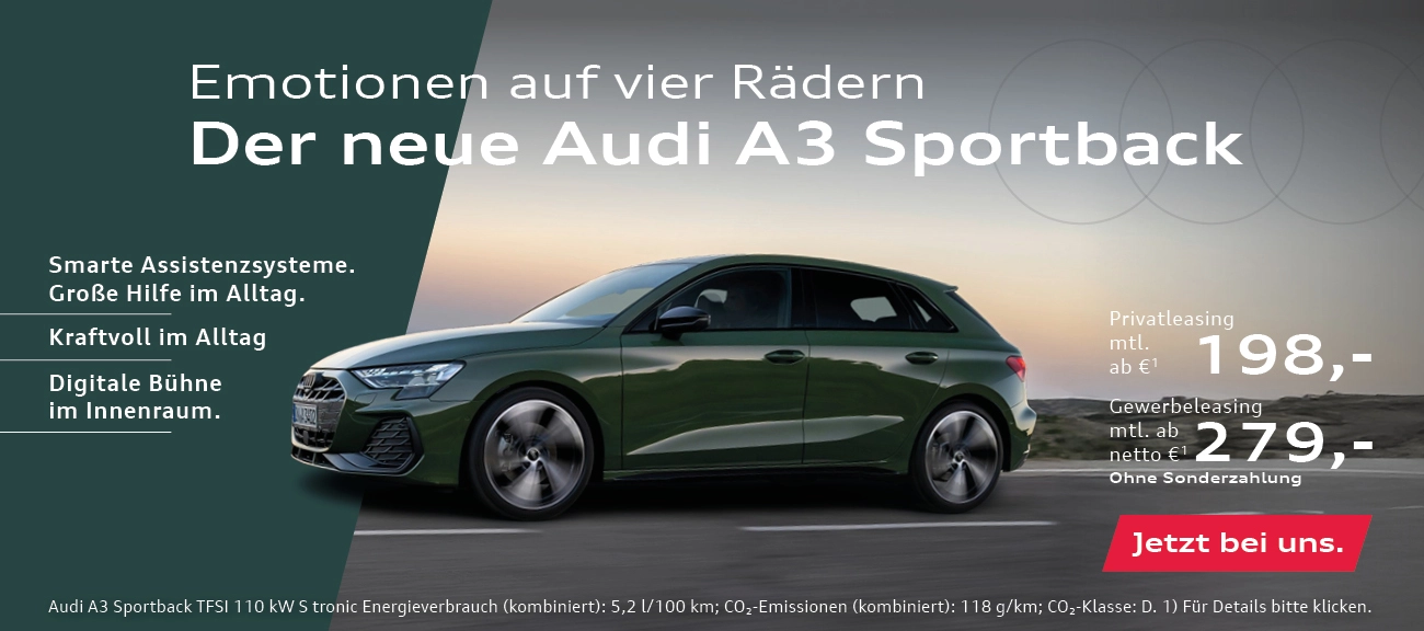 Audi A3 Sportack