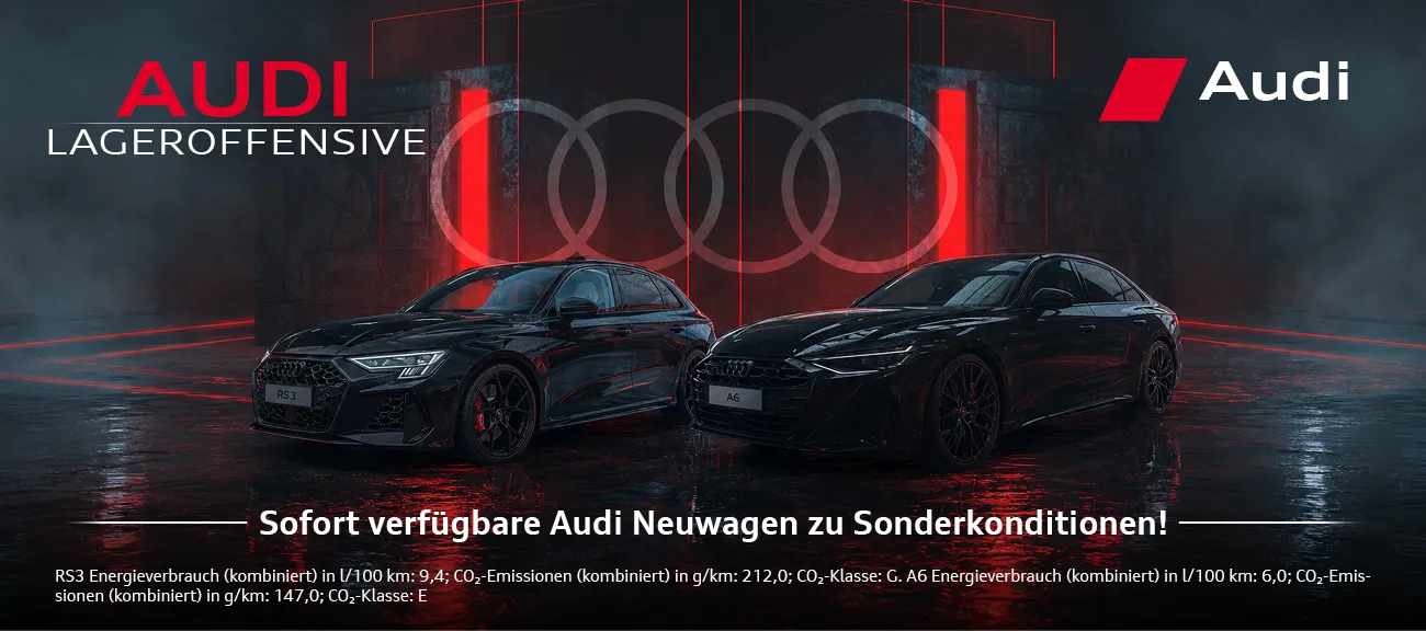 Audi Lageraktion